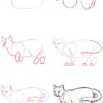 Dibujo gato de pie