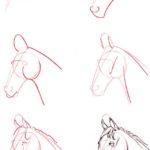 Dibujar cabeza de caballo
