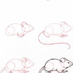 dibujar ratón