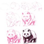Dibujar panda a lápiz