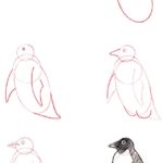aprender a dibujar un pingüino
