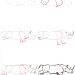 dibujo rinoceronte