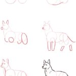 Dibujar lobo en 6 pasos