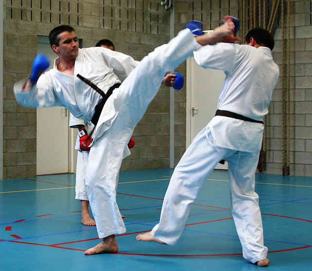 estilo karate