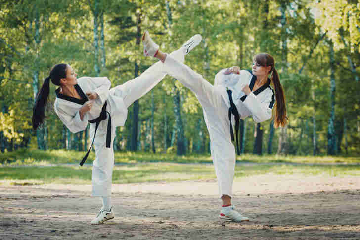 estilos de karate